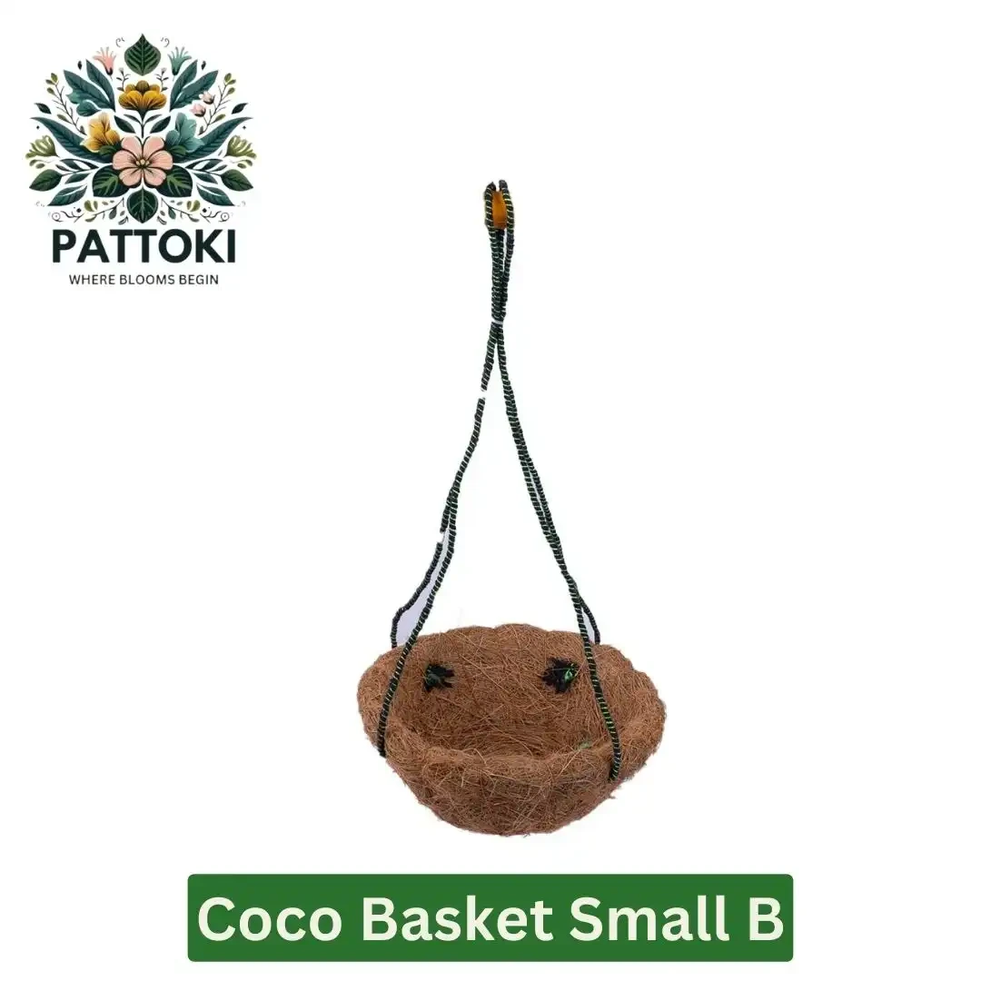Small B Coco Basket for Only PKR 132.00! Enhance Your Garden Charm